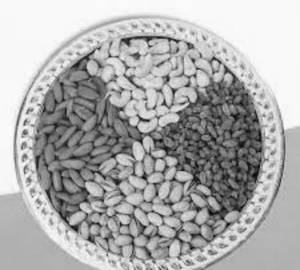 Dry Fruit Tray (600 Gm)