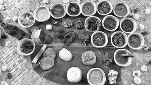 Non Veg Meals