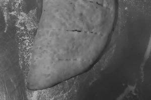 Calzone Pocket