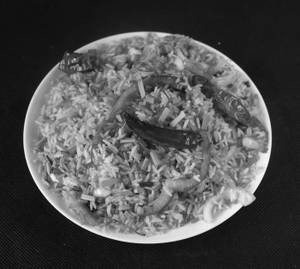 Schezwan Fried Rice