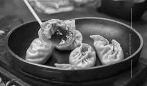 Chicken Pan Fried Momo(full)