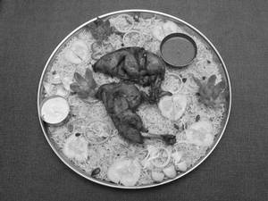 Chicken Fry Piece Mandi