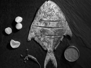 Pomfret Tawa Fry