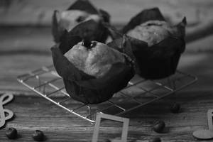Blueberry Muffin