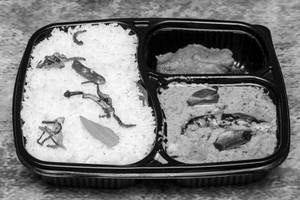 Easy Fish Meal