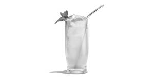Mojito Mint Mocktail