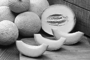 Muskmelon Salad
