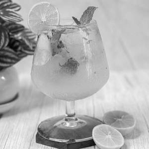 Lemon Mint Mojito