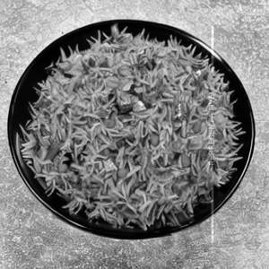 Manchurian Schezwan Rice                 