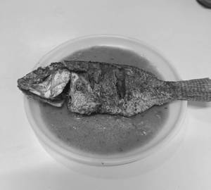 Telapiya Fish Curry (1 Pc)