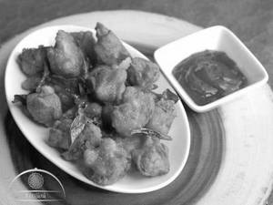 Gobi 65