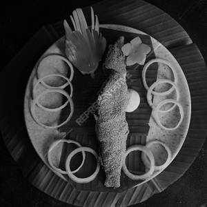 Kane Rava Fry