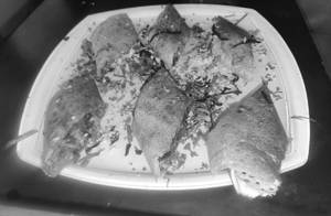 Mysore Sada Dosa