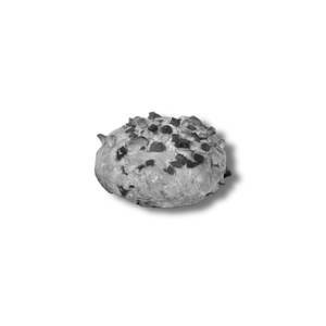 Tea Cake [1piece]