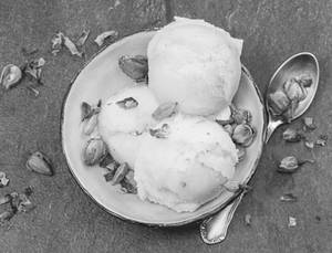 Vanilla Scoop Ice Cream