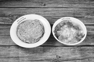 Egg Cantonese Chow