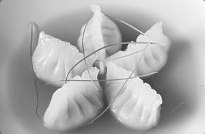 Veg Truffle Oil Edamame Dumplings 5pcs