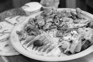 Shawarma Plate Special