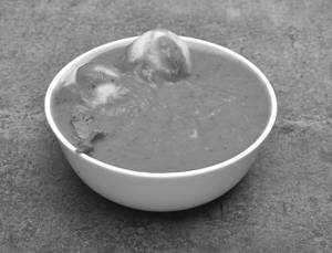 Egg Masala