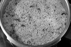 Plain Biryani