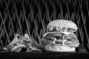Double Decker Cheese Burger