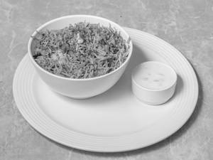 Veg Biryani