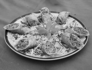 Veg Spring Roll