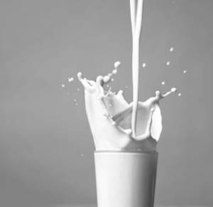 Milk