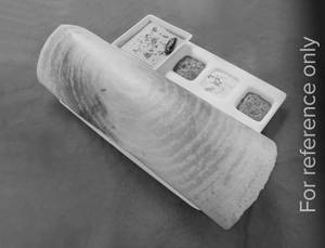 Paper Plain Dosa