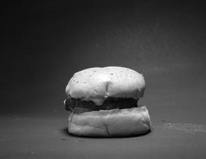 Mexican Burger
