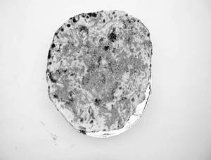 Stuffed Kulcha