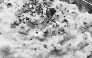 Curd rice