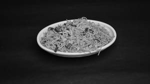 Chicken  Hakka Noodles
