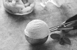 Vanilla Scoop
