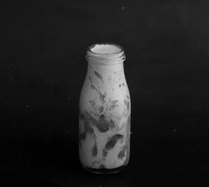 Strawberry Shake    