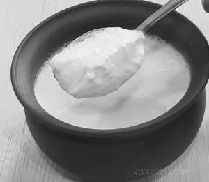 Plain Dahi