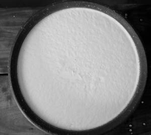 Plain Curd