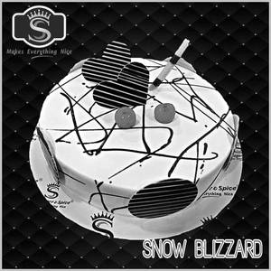 Snow Blizzard