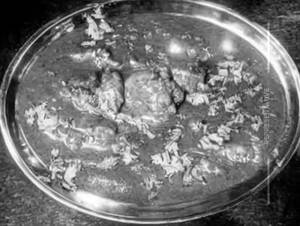 Chicken Mughlai