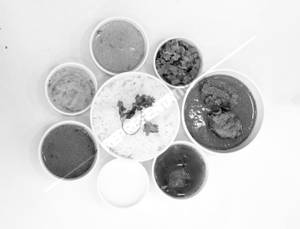 Chicken Meals