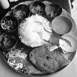 Fish Meals