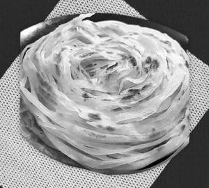 Nool parotta set
