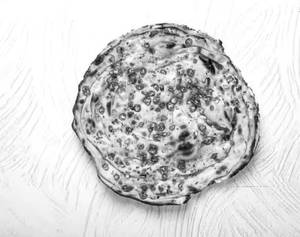 Mirchi Paratha [Green Chilli]