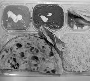Mini Thali