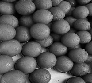Gulab jamun