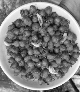 Chana Koliwada