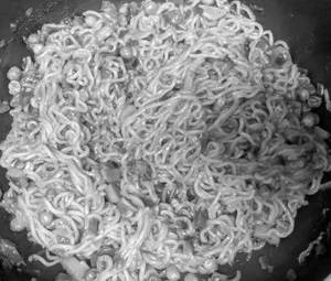 Atta maggi