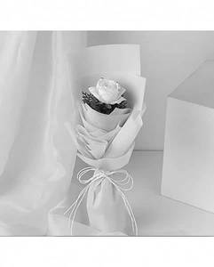 Exotic Single White Rose