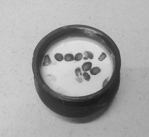 Mango Matka (5pieces)
