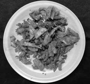Veg Kentucky